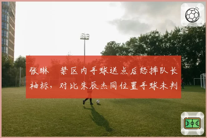 张琳芃禁区内手球送点后怒摔队长袖标，对比朱辰杰同位置手球未判罚引发海港申花球迷隔空互撕__br_