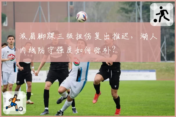 浓眉脚踝三级扭伤复出推迟，湖人内线防守强度如何弥补？