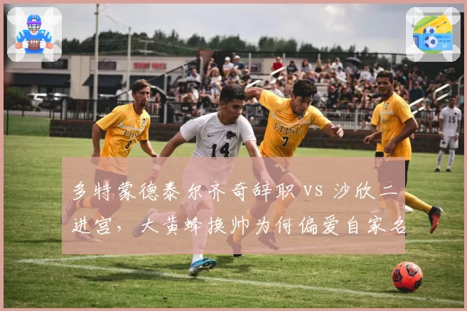 多特蒙德泰尔齐奇辞职 vs 沙欣二进宫，大黄蜂换帅为何偏爱自家名宿？