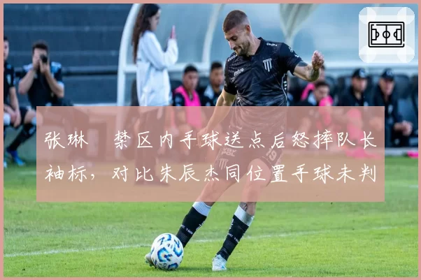 张琳芃禁区内手球送点后怒摔队长袖标，对比朱辰杰同位置手球未判罚引发海港申花球迷隔空互撕__br_